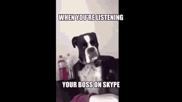 Boss Working From Home GIF - Boss Working From Home Work From Home GIFs