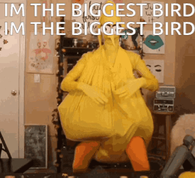 Biggest Bird GIF - Biggest Bird GIFs