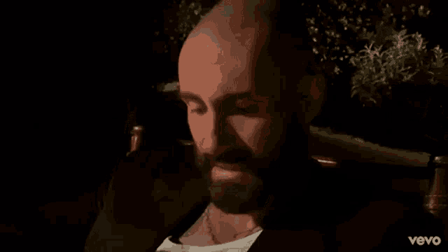 a bald man with a beard is sitting in a chair .