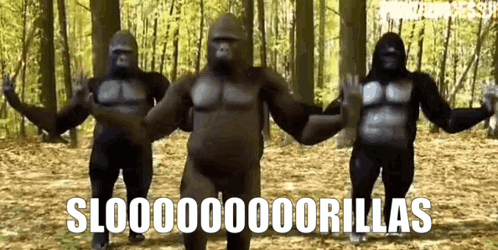 Gorillas Slorillas GIF - Gorillas Slorillas Sloorillas GIFs