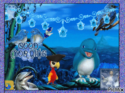 a picture of birds and dolphins with the words good morning on it