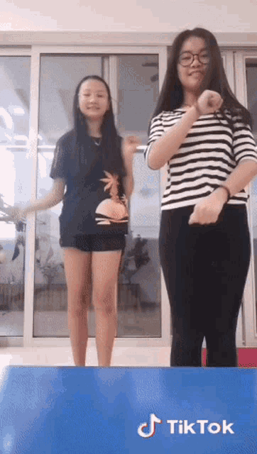 two girls are dancing in front of a window with tiktok written on the bottom of the screen