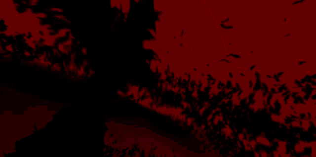 Hellsing Alucard GIF - Hellsing Alucard Integra GIFs