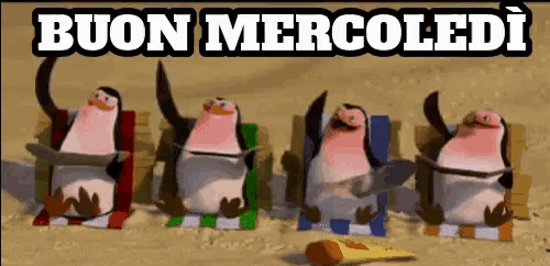 a group of penguins are sitting in beach chairs on a beach with the words buon mercoledi above them