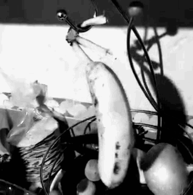 a black and white photo of bananas and apples on a table