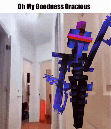 a picture of a minecraft character with the words oh my goodness gracious