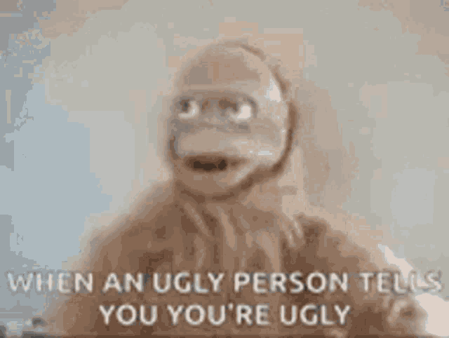 Ugly Monkey GIF - Ugly Monkey GIFs