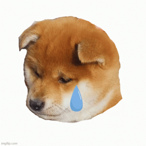 Sad Sad Puppy GIF - Sad Sad Puppy Sad Puppy Face GIFs