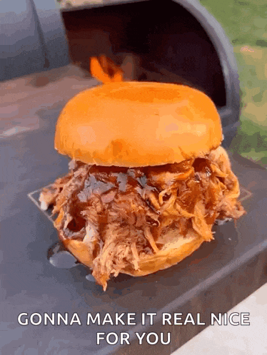 a pulled pork sandwich is sitting on a grill with the words gonna make it real nice for you below it