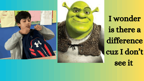 Shrek Meme GIF - Shrek Meme Shrek GIFs