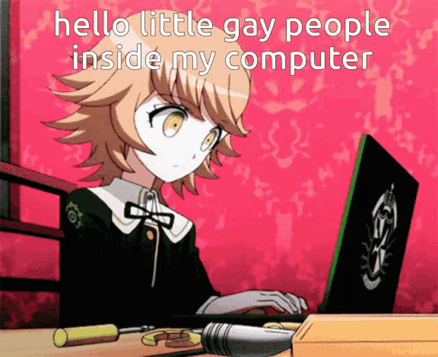 a girl is sitting in front of a laptop with the words hello little gay people inside my computer above her