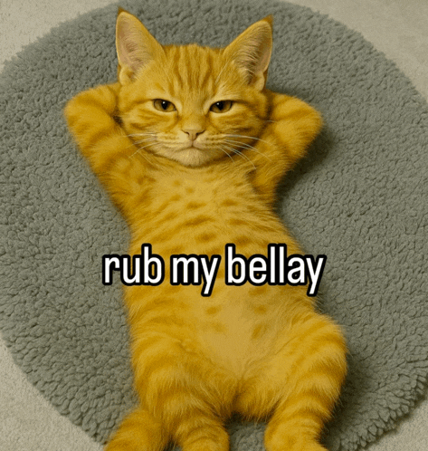 an orange cat laying on a blanket with the words rub my bellay written on its belly