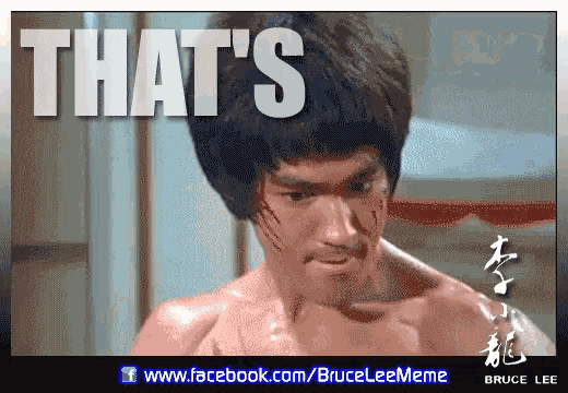 Bruce Lee Kick GIF - Bruce Lee Kick Thats Not The Point GIFs