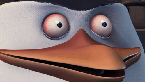 Penguin Stare GIF - Penguin Stare Mad GIFs