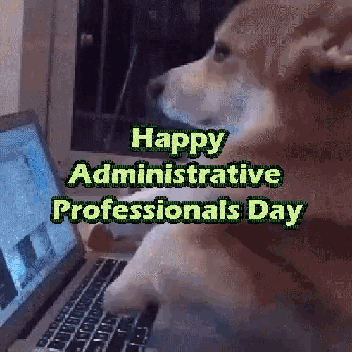 Happy Administrative Professionals Day Dog GIF - Happy Administrative Professionals Day Administrative Professionals Administrative Professionals Day GIFs