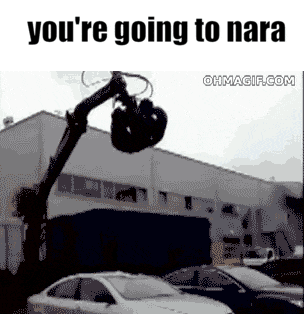a picture of a crane with the words " you 're going to nara " on it