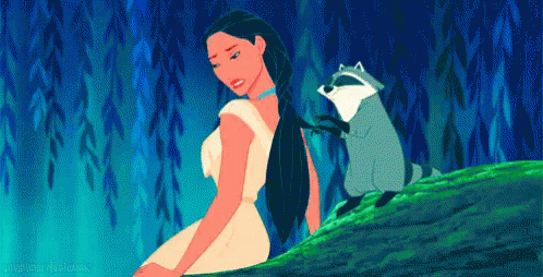 Pocahontas Meeko GIF - Pocahontas Meeko Braid GIFs