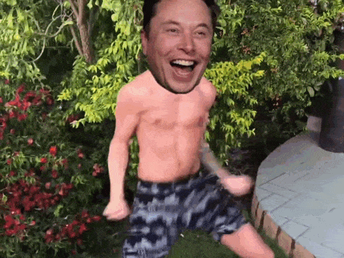 a shirtless man with a picture of elon musk on his head is dancing in a garden .