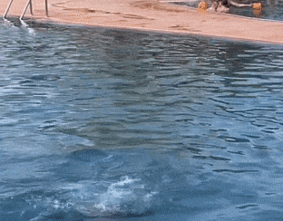 a person is swimming in a swimming pool with a beard .
