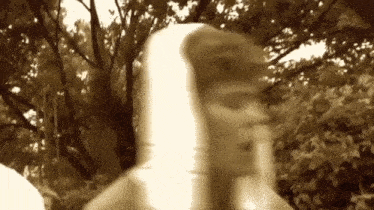a blurry picture of a person wearing a hooded jacket in a forest .
