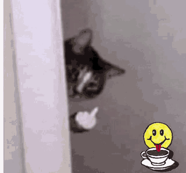 a cat is peeking out from behind a door next to a cup of coffee with a smiley face on it