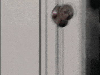 a blurred image of a door with a pink and green rocket in the background