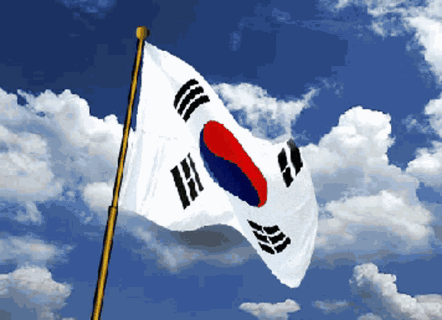 Korea Flag GIF - Korea Flag 국뽕 GIFs