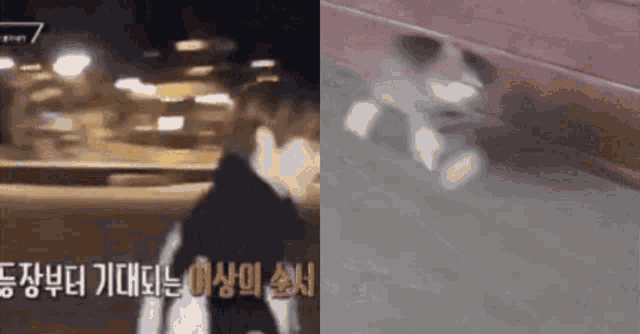 a blurry picture of a person walking and a blurry picture of a cat walking