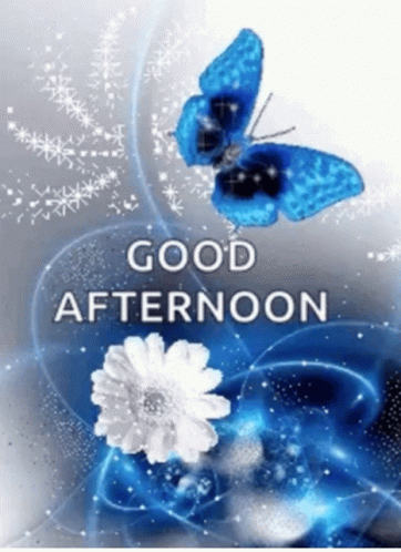 Good Afternoon Nature GIF - Good Afternoon Nature - Discover & Share GIFs