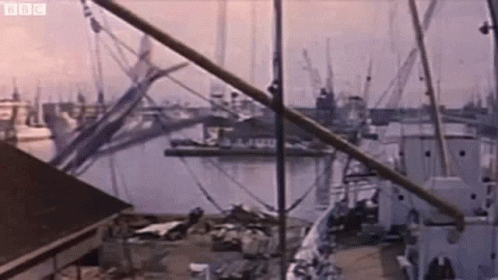 1963 The Day Of The Triffids GIF - 1963 The Day Of The Triffids Airplane Crash GIFs