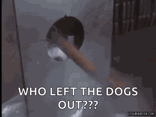 Hotdog Food Factory GIF - Hotdog Food Factory Who Left The Dogs Out GIFs
