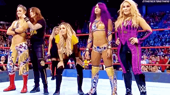a group of female wrestlers are standing in a ring .