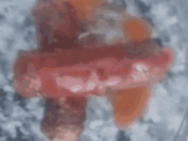 a close up of a sausage on a plate with a blurry background .