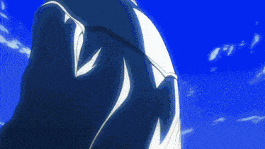 a person in a blue jacket stands in front of a blue sky with clouds