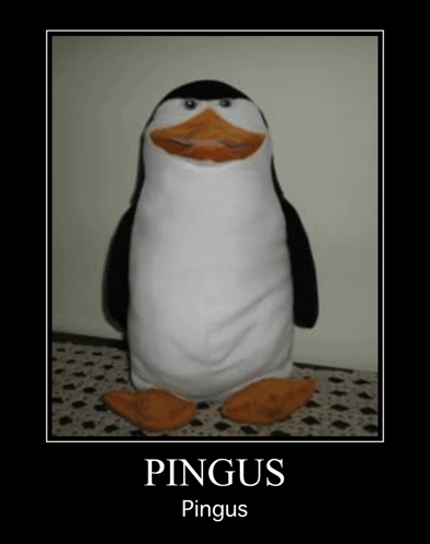 Pingus GIF - Pingus GIFs