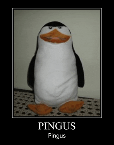 a poster of a stuffed penguin with the name pingus written on it