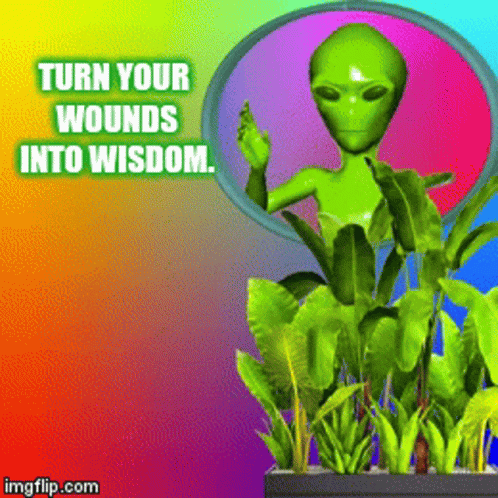 Turn Wounds Into Wisdom GIF - Turn Wounds Into Wisdom GIFs