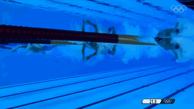 two swimmers are swimming in a pool with a score of 23.7
