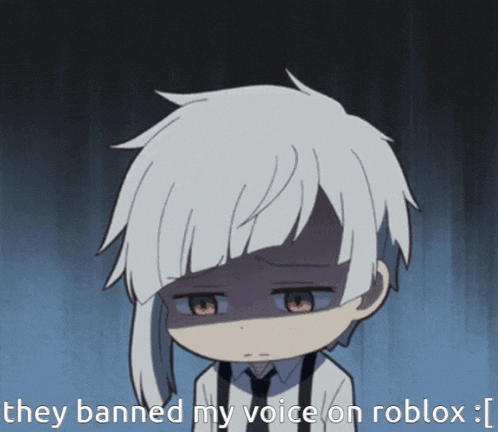 they banned my voice on roblox : ]