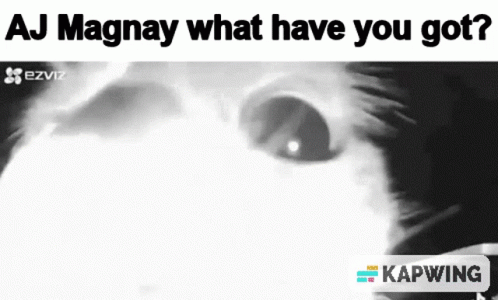 Aj Magnay Cat Doorbell GIF - Aj Magnay Cat Doorbell GIFs