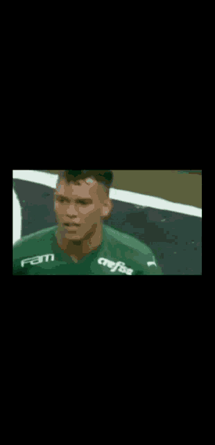 a close up of a soccer player wearing a green jersey with the word fam on it .
