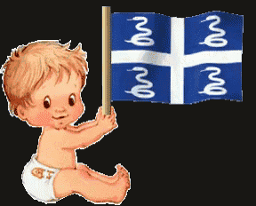 a baby in a diaper is holding a flag with the letters n and o on it