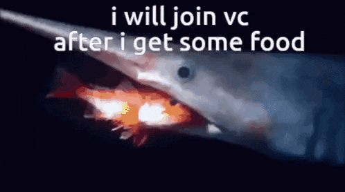 a shark with a long nose is eating a fish and says `` i will join vc after i get some food '' .
