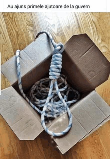 a picture of a noose in a cardboard box