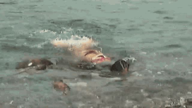 a woman is swimming in the ocean with a dolphin .
