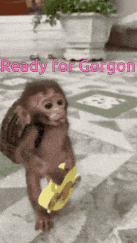 a monkey carrying a backpack and a banana with the words ready for gorgon above it