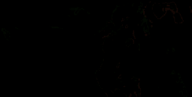 a person is playing a guitar in a dark room