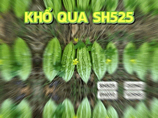 a blurry picture of green vegetables with khỏ qua sh525 written in yellow