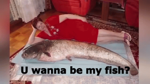 Fish GIF - You Wanna Be My Fish GIFs