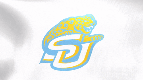a blue and yellow logo with the letter s and j on it